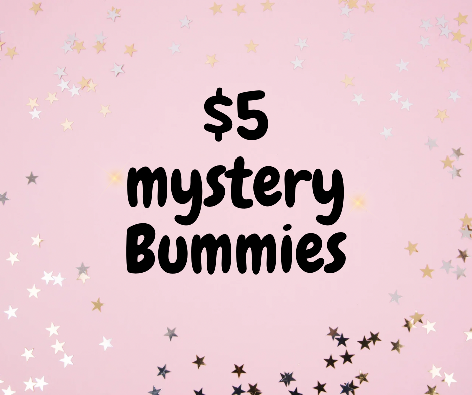 $5 Mystery Bummies
