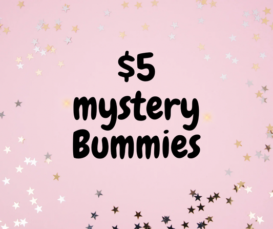 $5 Mystery Bummies